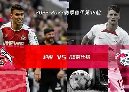 乐鱼体育地址-德甲汉堡莱比锡